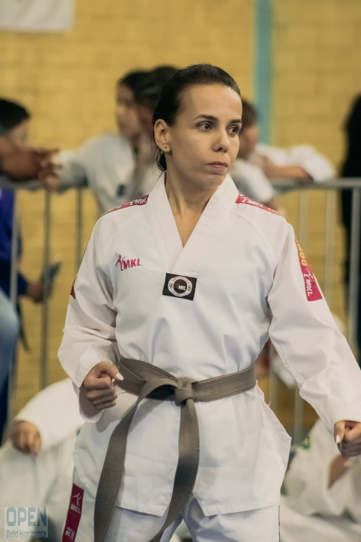 Imagem do Evento de 2º Open BH Taekwondo
