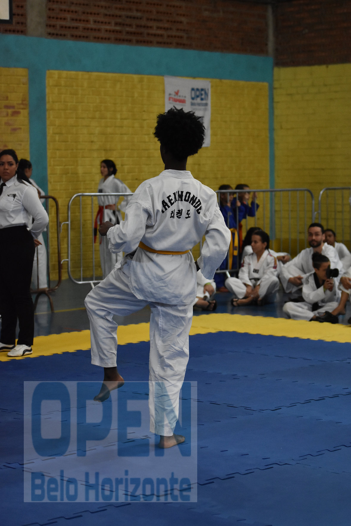 Imagem do Evento de 2º Open BH Taekwondo