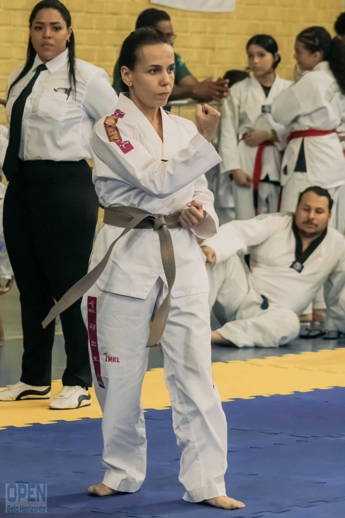 Imagem do Evento de 2º Open BH Taekwondo