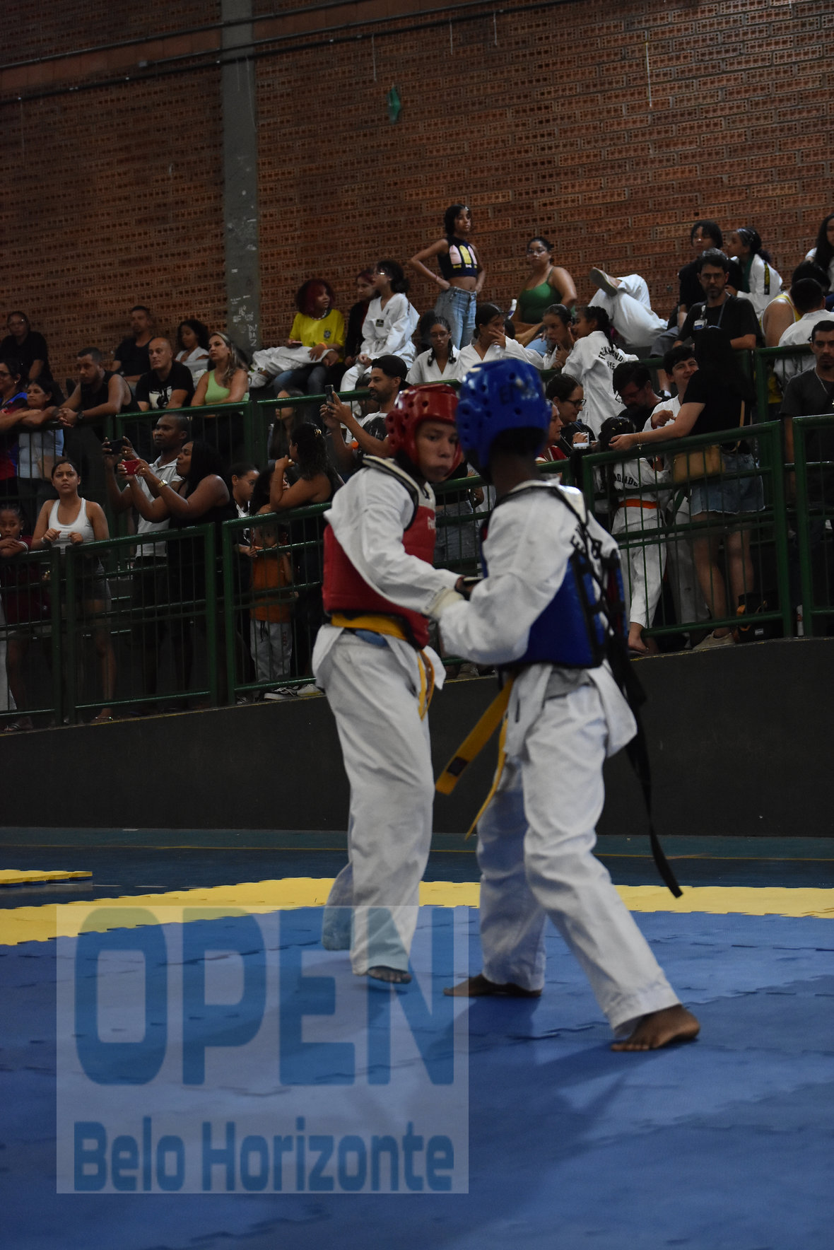 Imagem do Evento de 2º Open BH Taekwondo