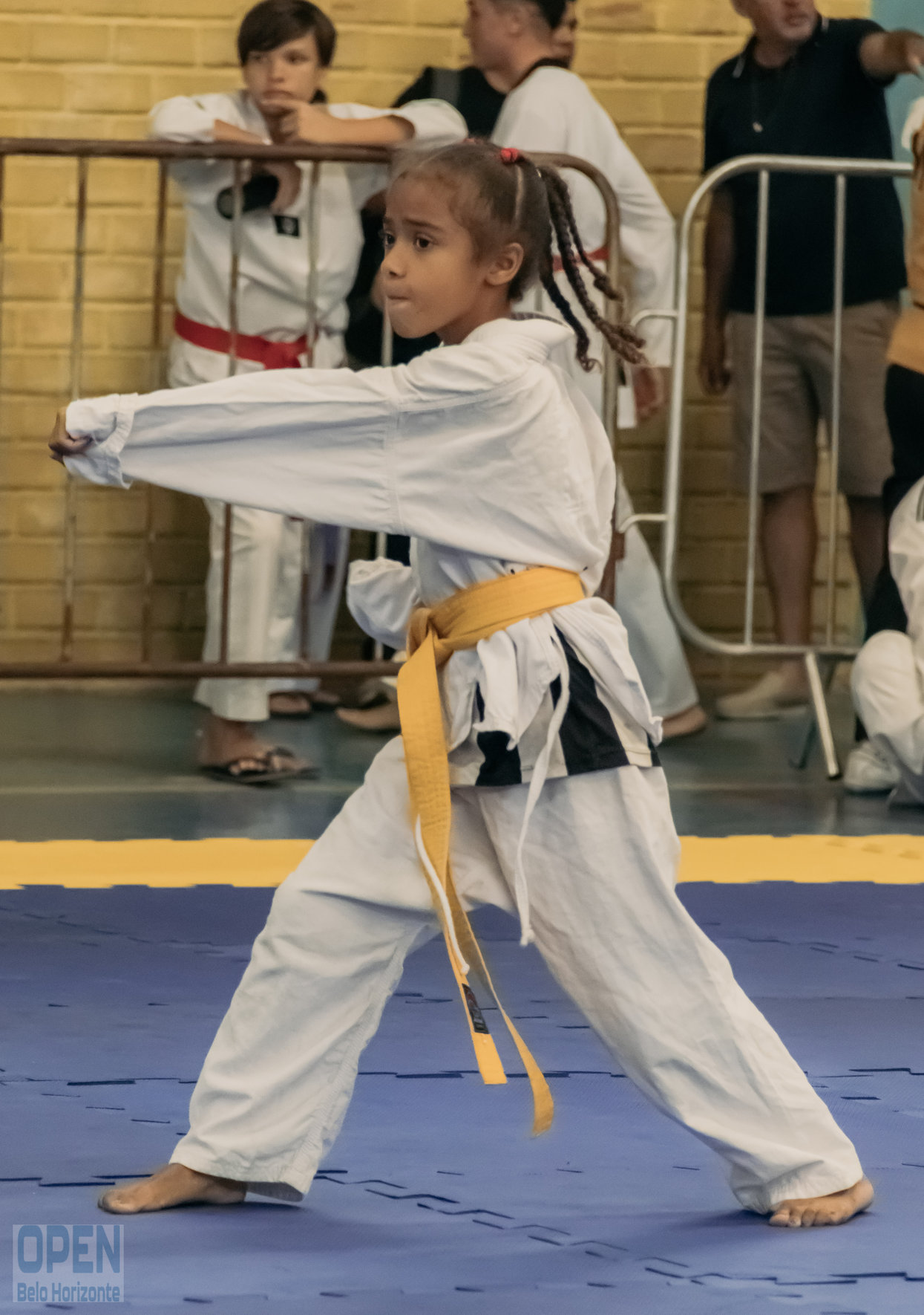 Imagem do Evento de 2º Open BH Taekwondo