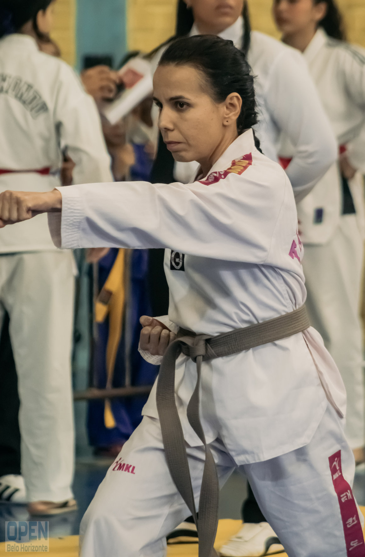 Imagem do Evento de 2º Open BH Taekwondo