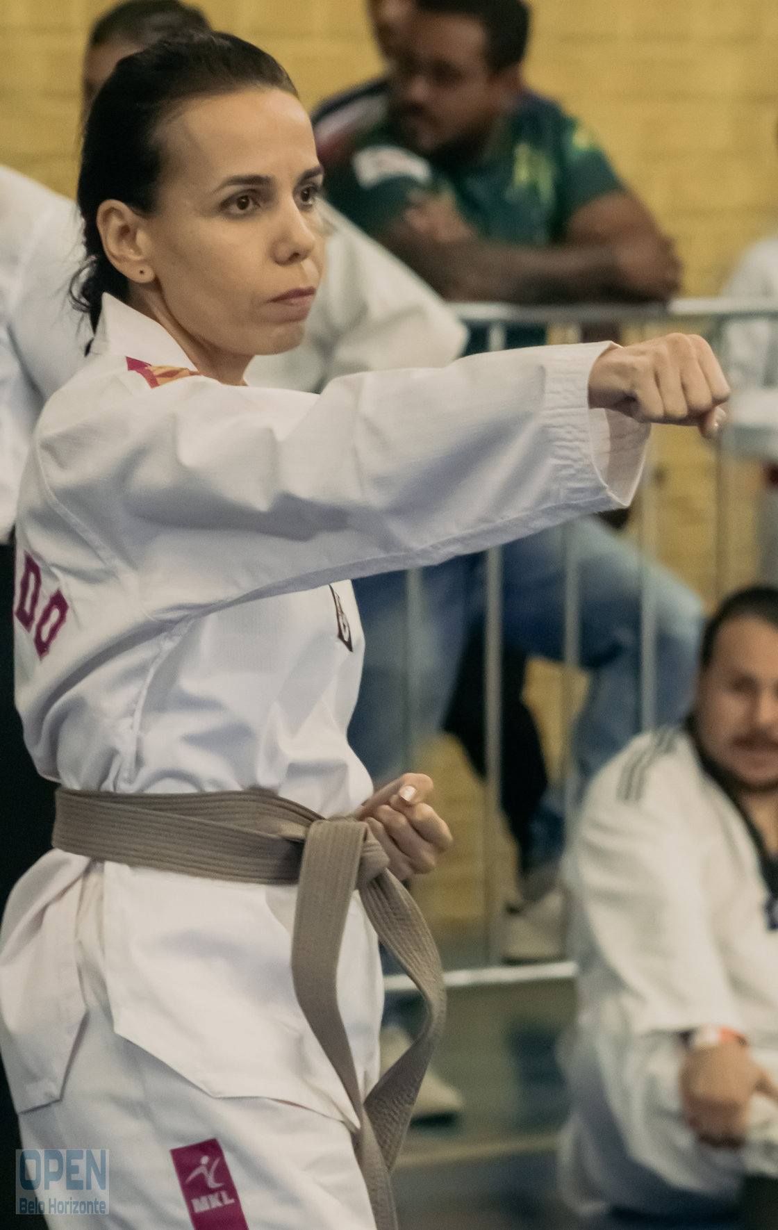 Imagem do Evento de 2º Open BH Taekwondo