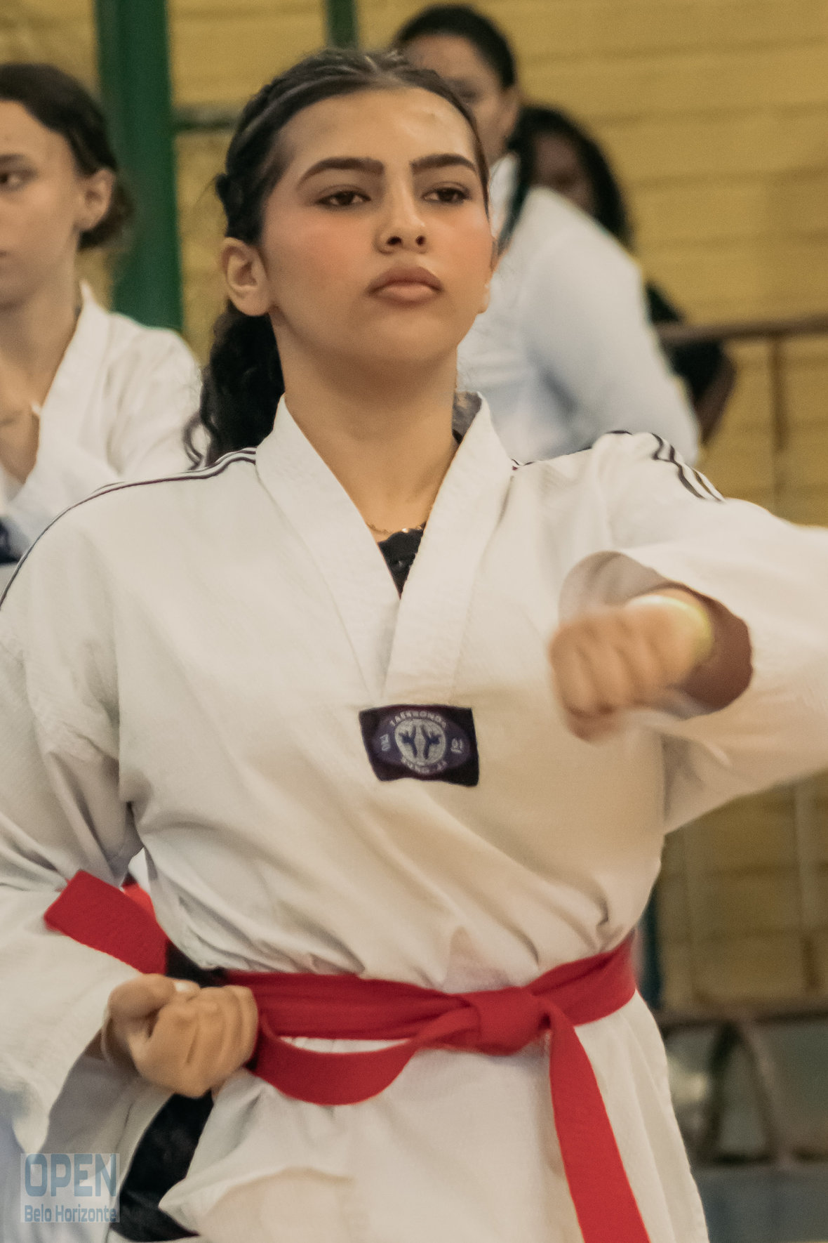 Imagem do Evento de 2º Open BH Taekwondo