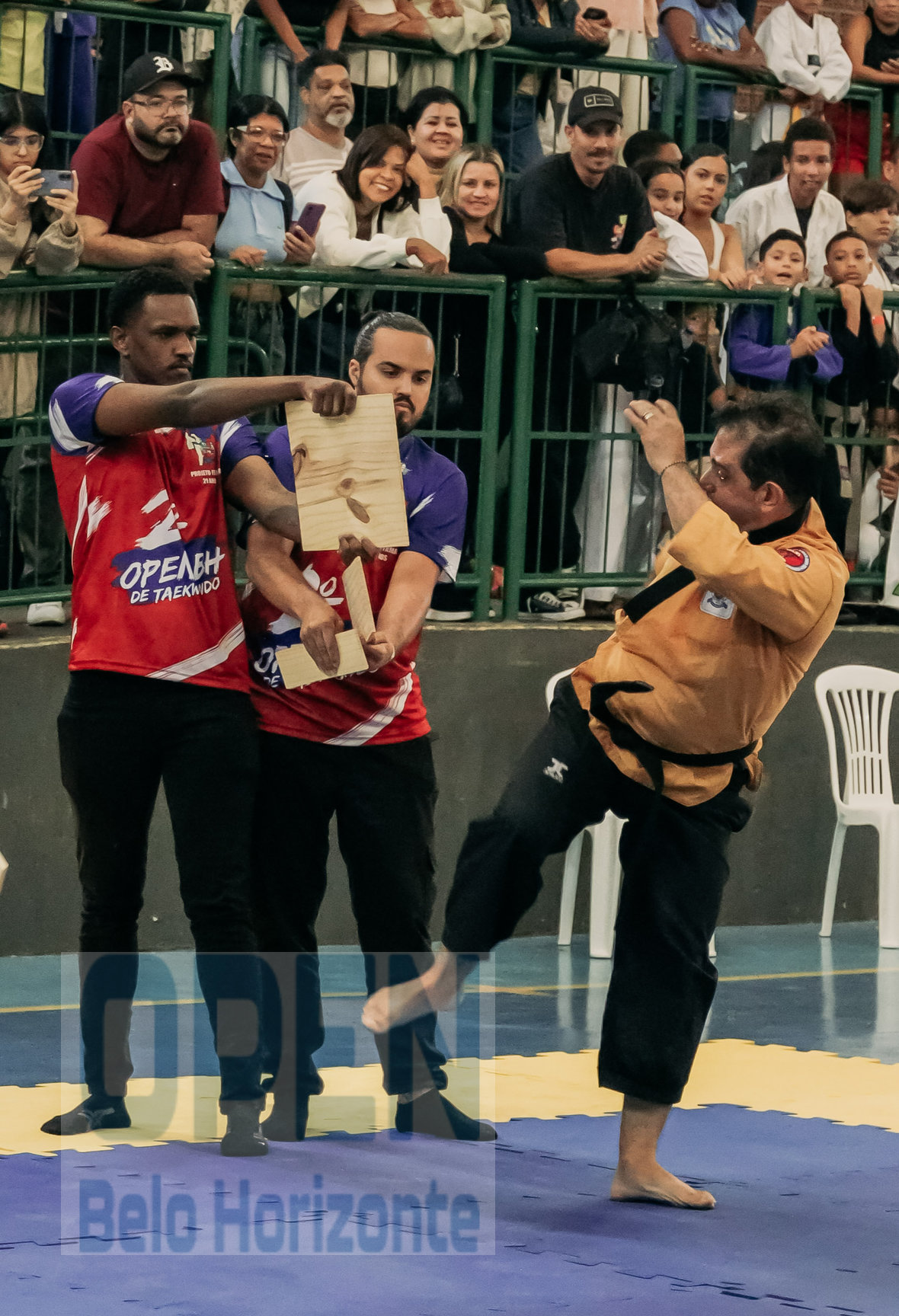 Imagem do Evento de 2º Open BH Taekwondo