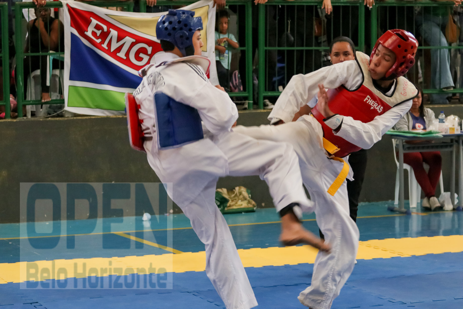 Imagem do Evento de 2º Open BH Taekwondo