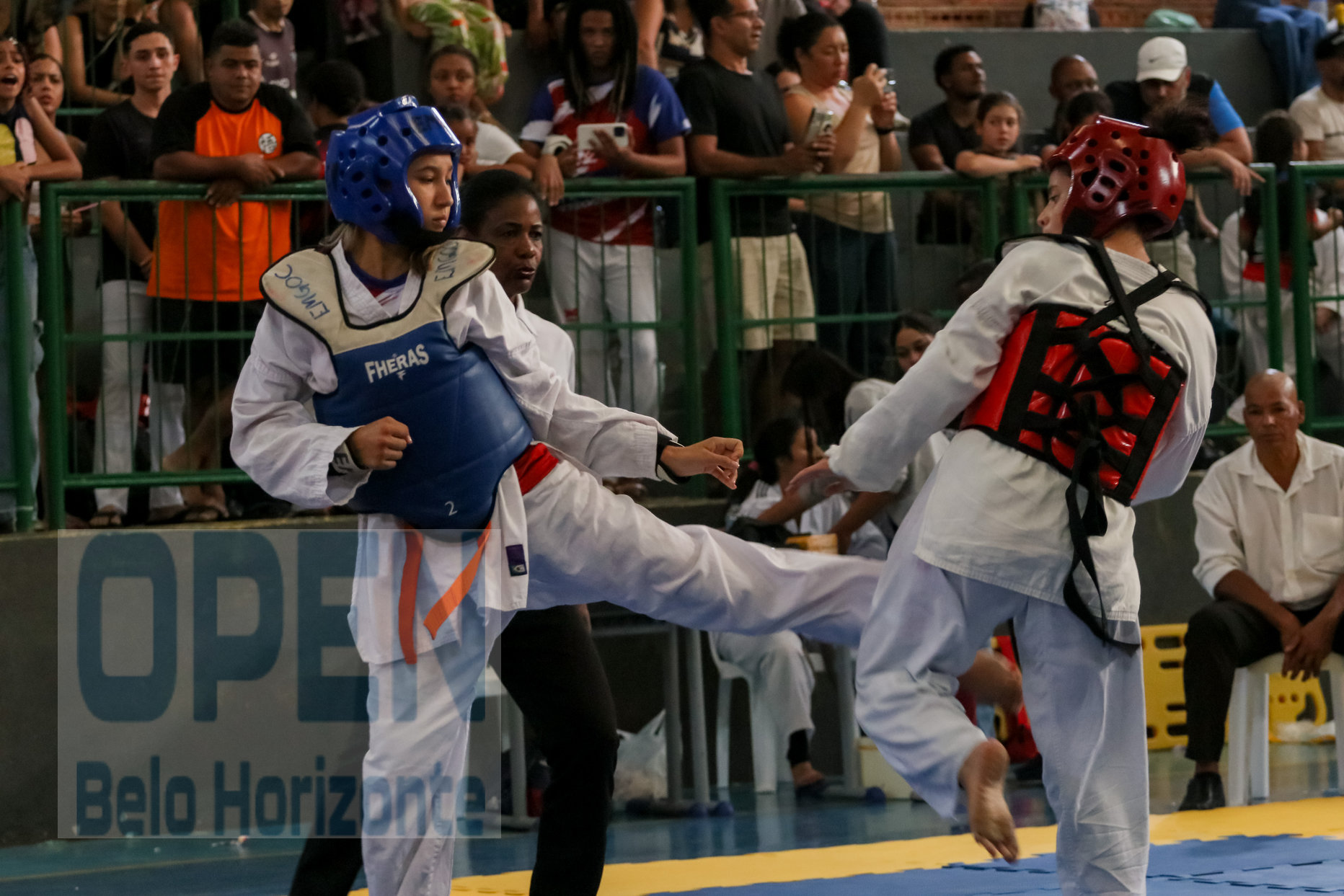 Imagem do Evento de 2º Open BH Taekwondo