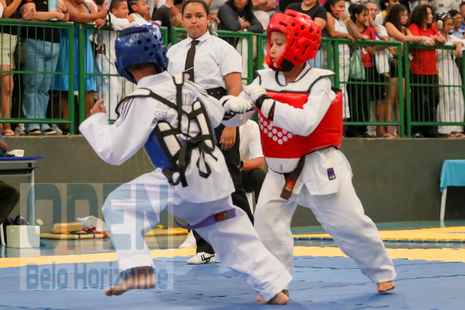 Imagem do Evento de 2º Open BH Taekwondo
