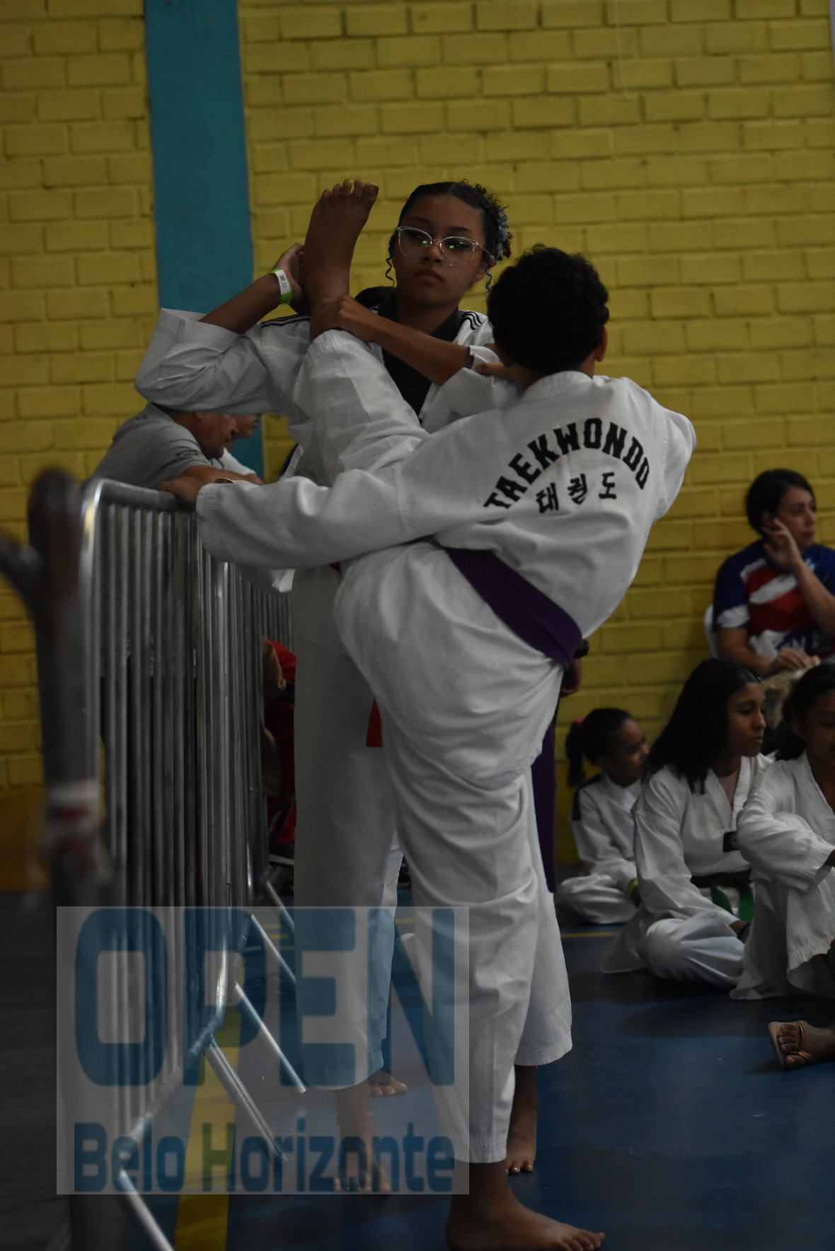 Imagem do Evento de 2º Open BH Taekwondo