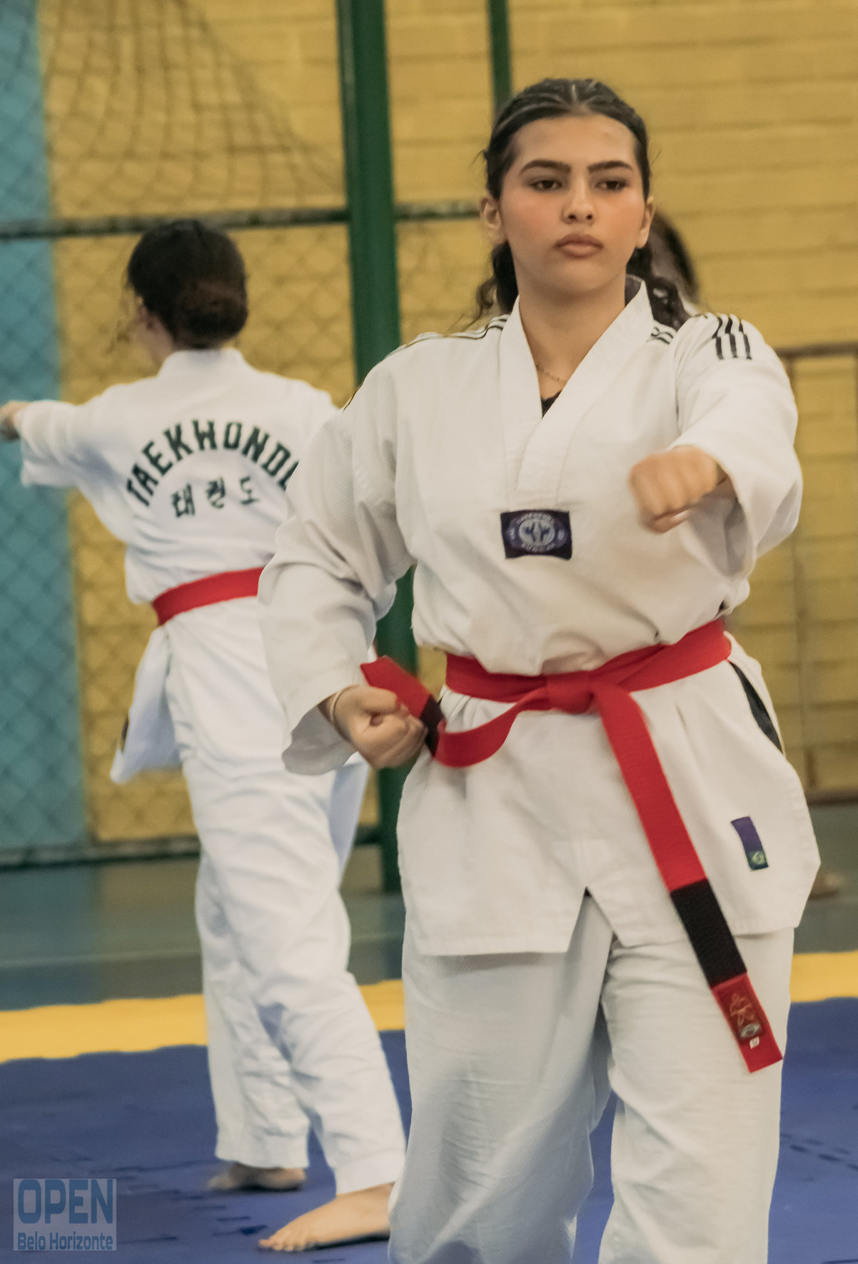 Imagem do Evento de 2º Open BH Taekwondo