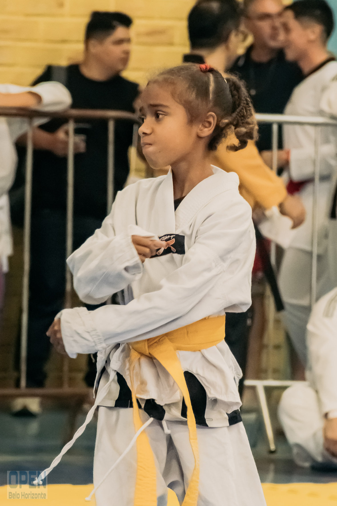Imagem do Evento de 2º Open BH Taekwondo