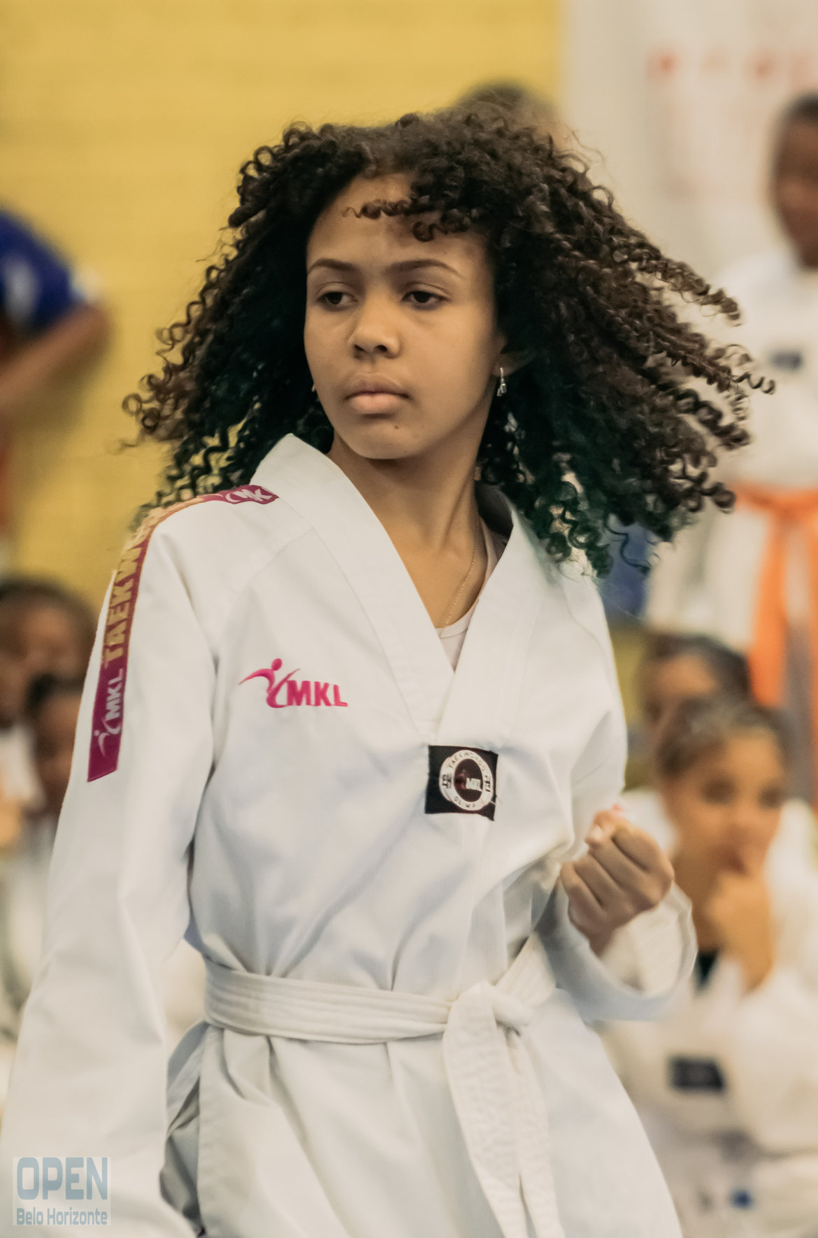 Imagem do Evento de 2º Open BH Taekwondo