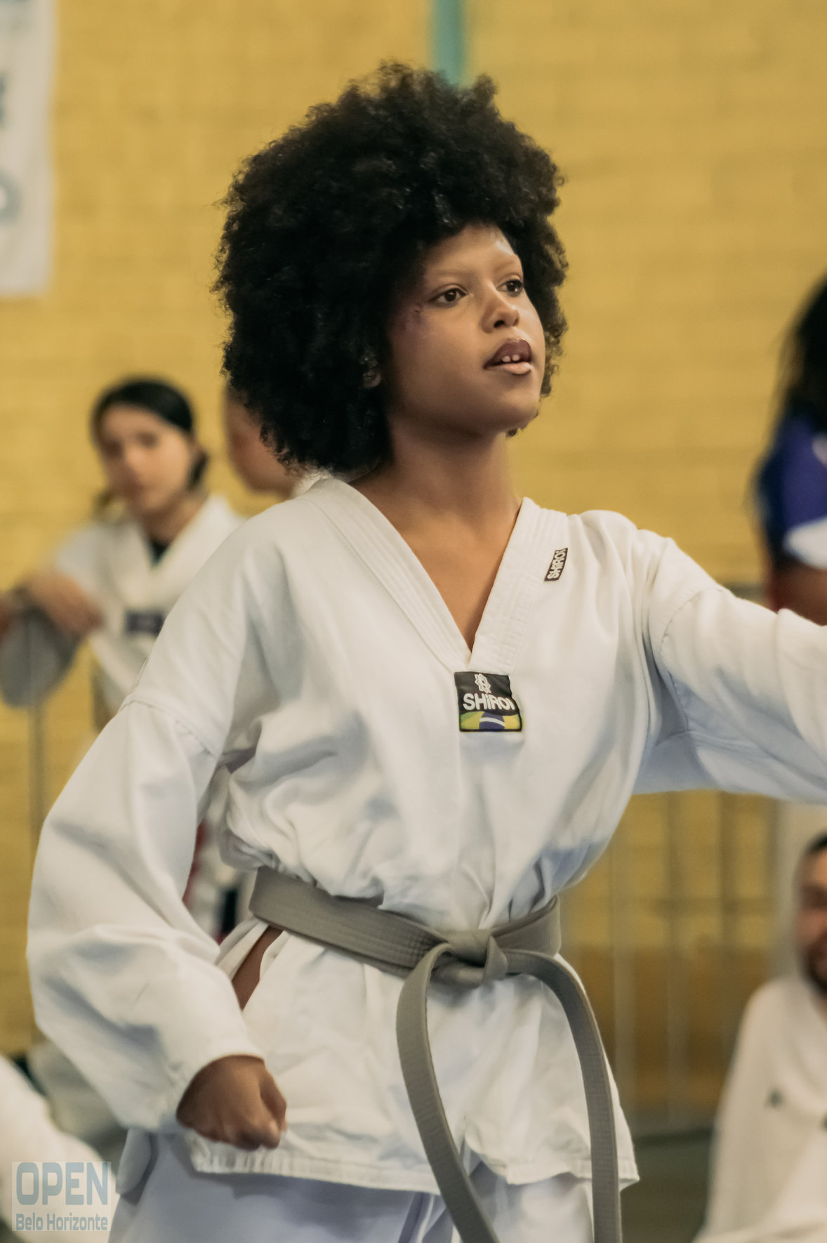 Imagem do Evento de 2º Open BH Taekwondo