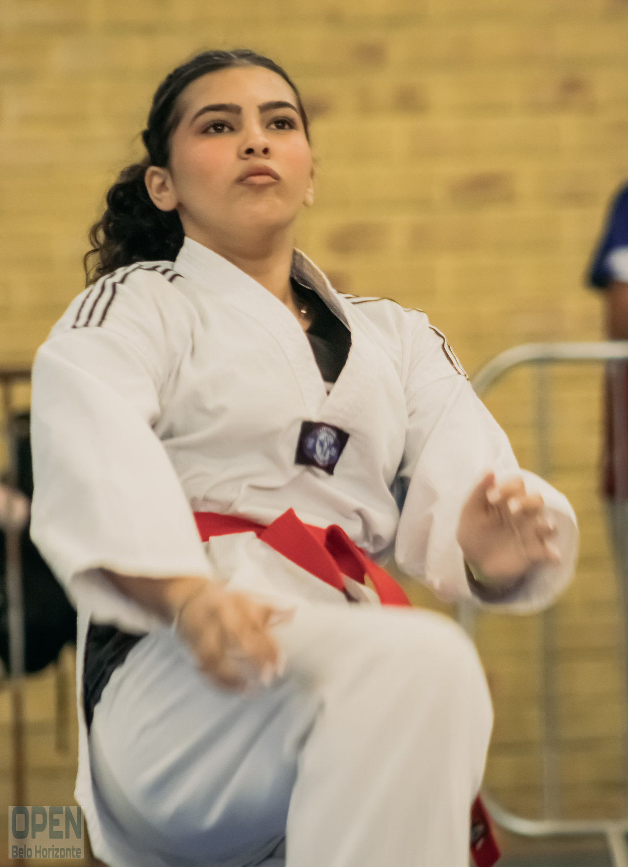 Imagem do Evento de 2º Open BH Taekwondo
