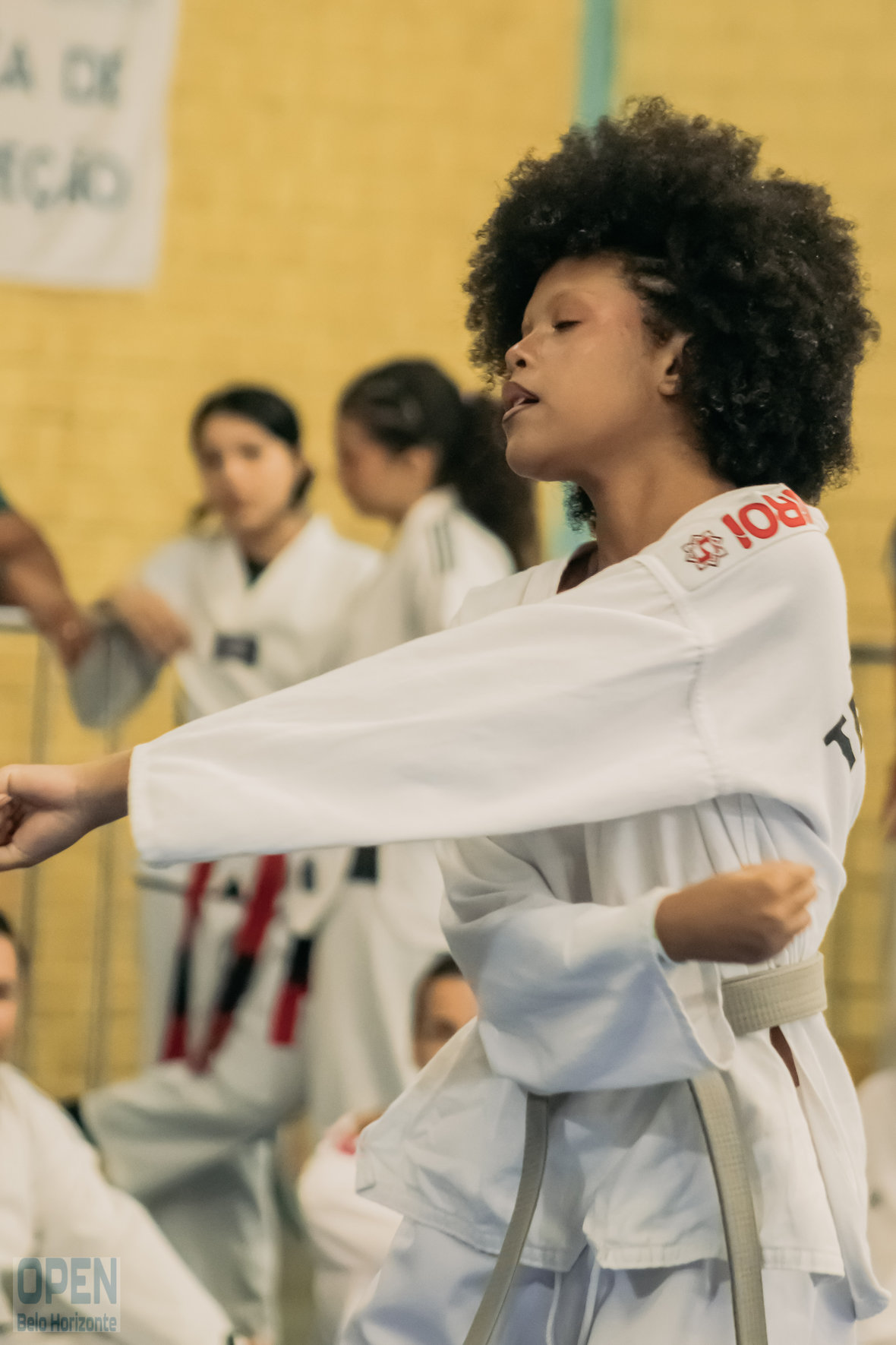Imagem do Evento de 2º Open BH Taekwondo