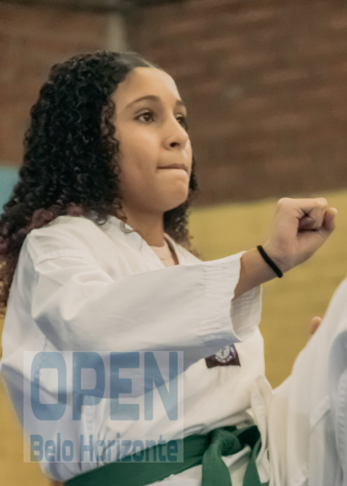 Imagem do Evento de 2º Open BH Taekwondo