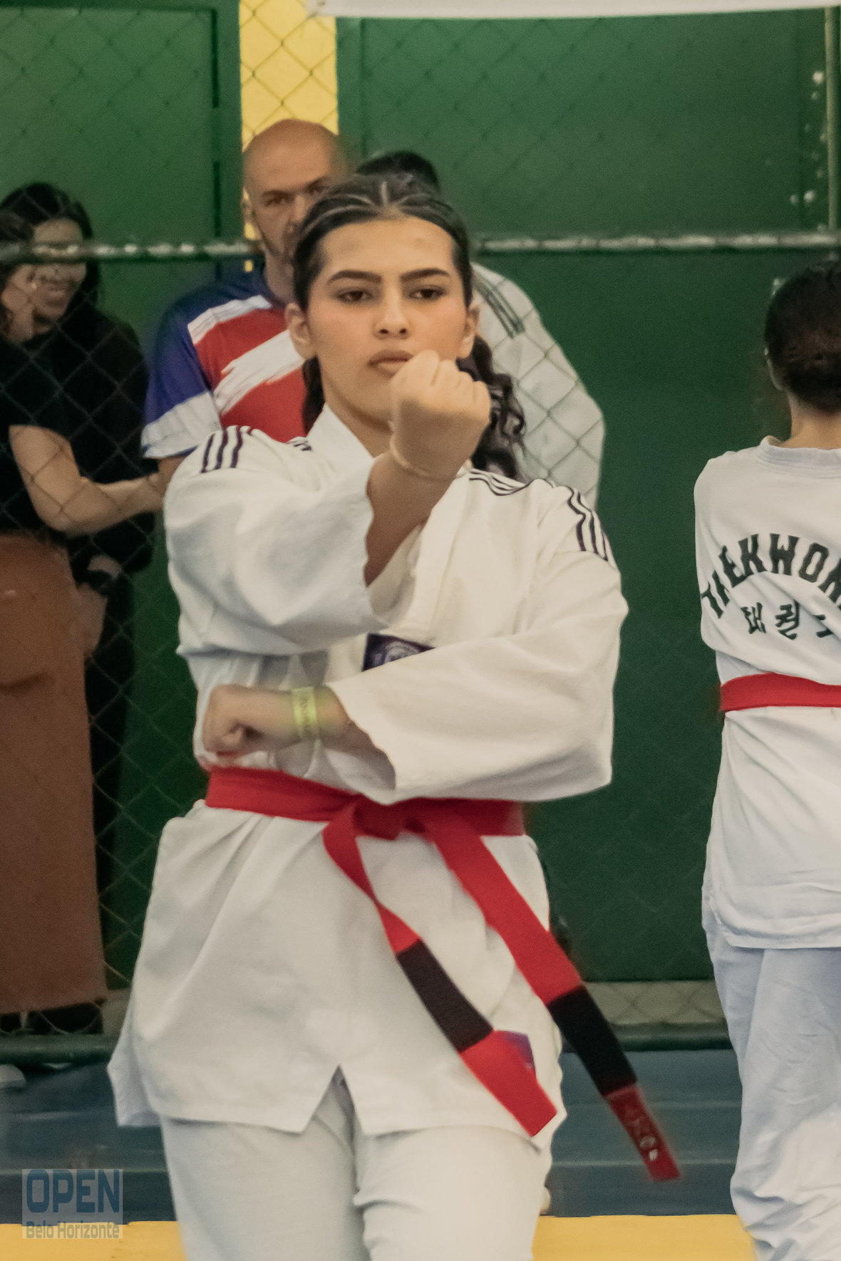 Imagem do Evento de 2º Open BH Taekwondo