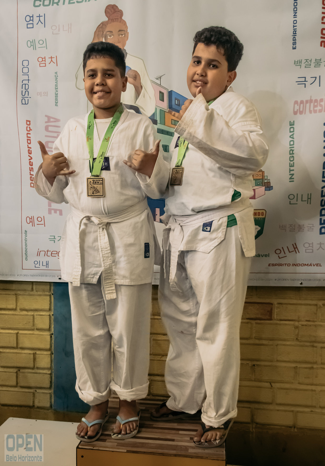 Imagem do Evento de 2º Open BH Taekwondo