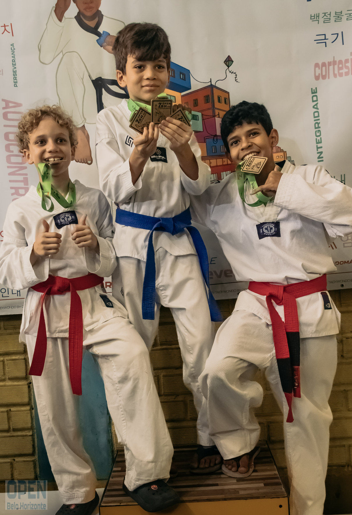 Imagem do Evento de 2º Open BH Taekwondo