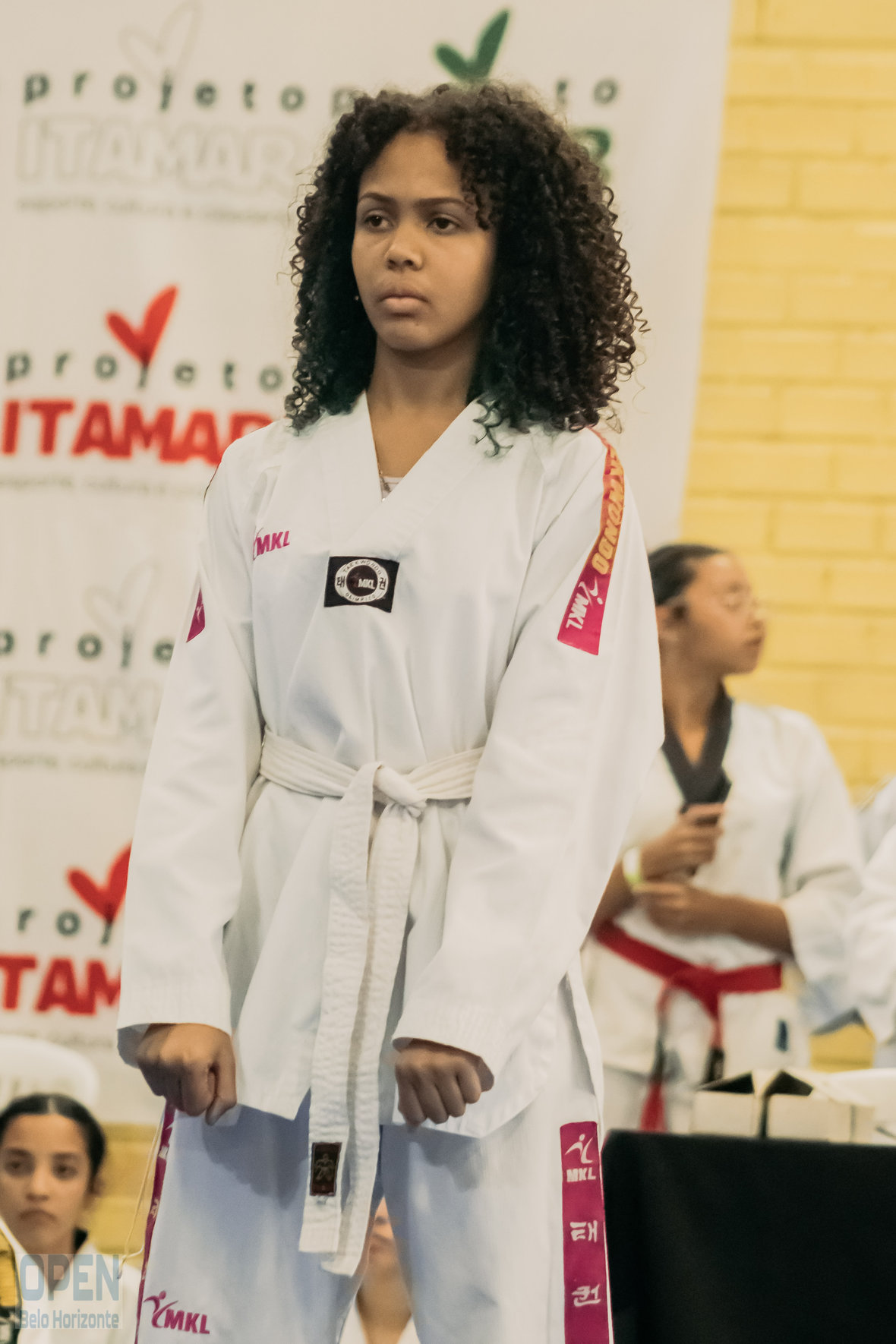 Imagem do Evento de 2º Open BH Taekwondo