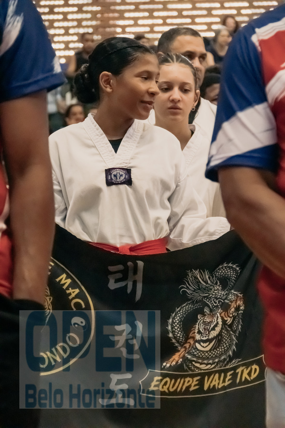 Imagem do Evento de 2º Open BH Taekwondo
